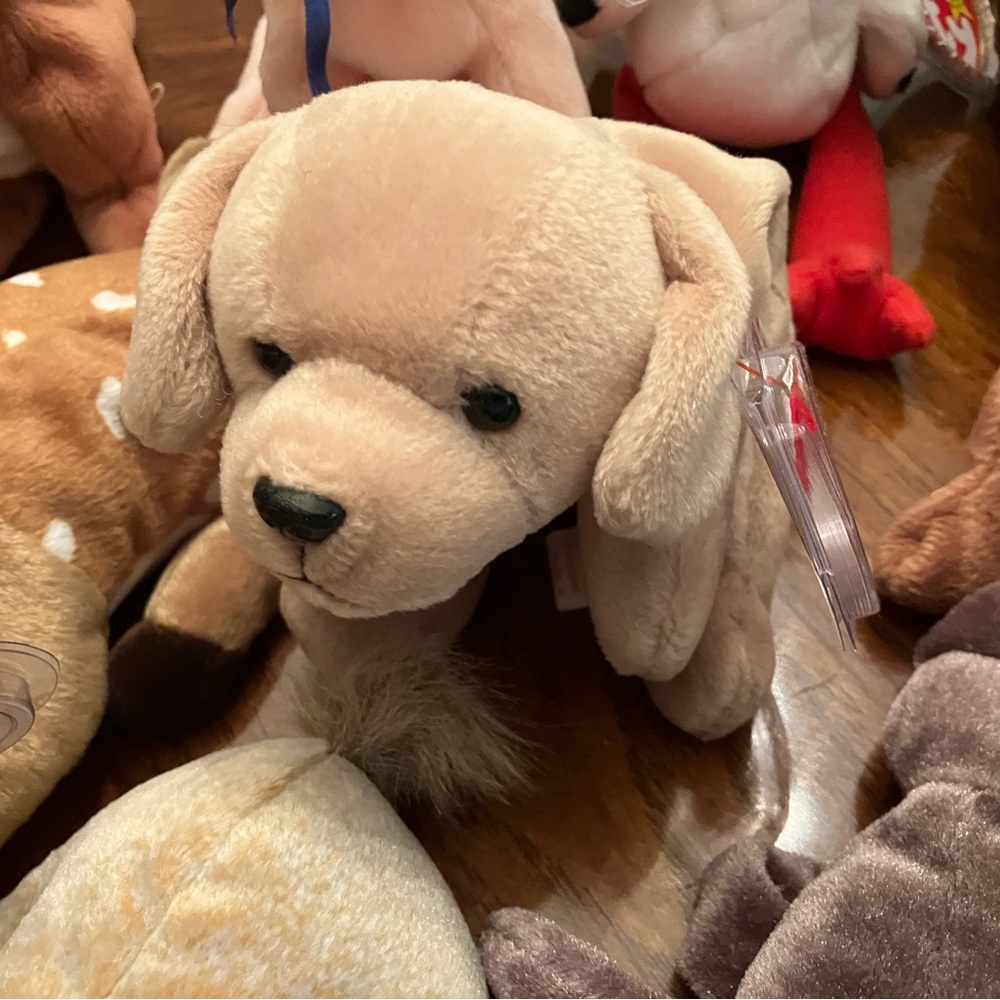 Lot of 10 Ty Beanie Babies pet free and smoke free home. Been in storage. - Picture 7 of 11